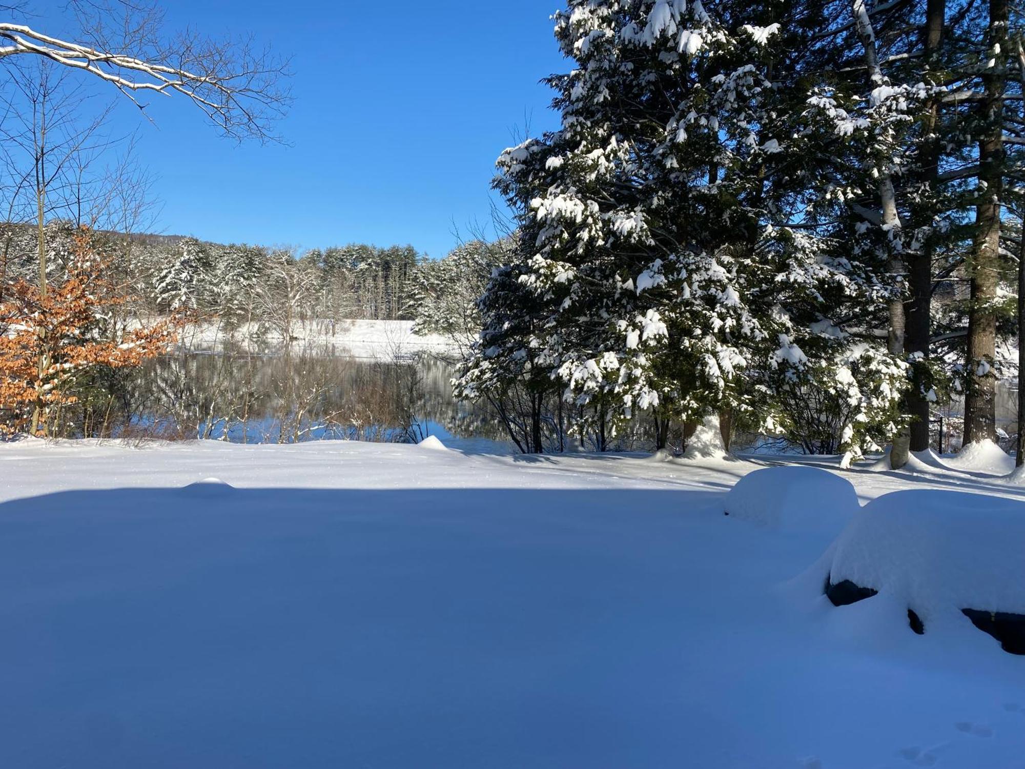 Adirondack Waterfront Cabin Upper Hudson Tributary Villa Lake Luzerne Екстериор снимка